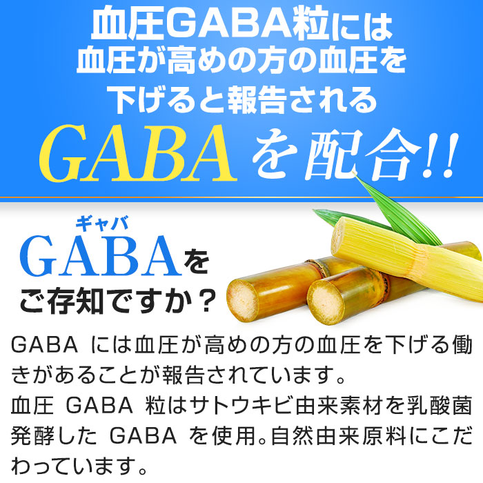 市場 送料無料 機能性表示食品 高血圧サプリ サプリメント 31日分 下げる DMJえがお生活 血圧 血圧サプリ 血圧を下げる 血圧GABA粒 日本製