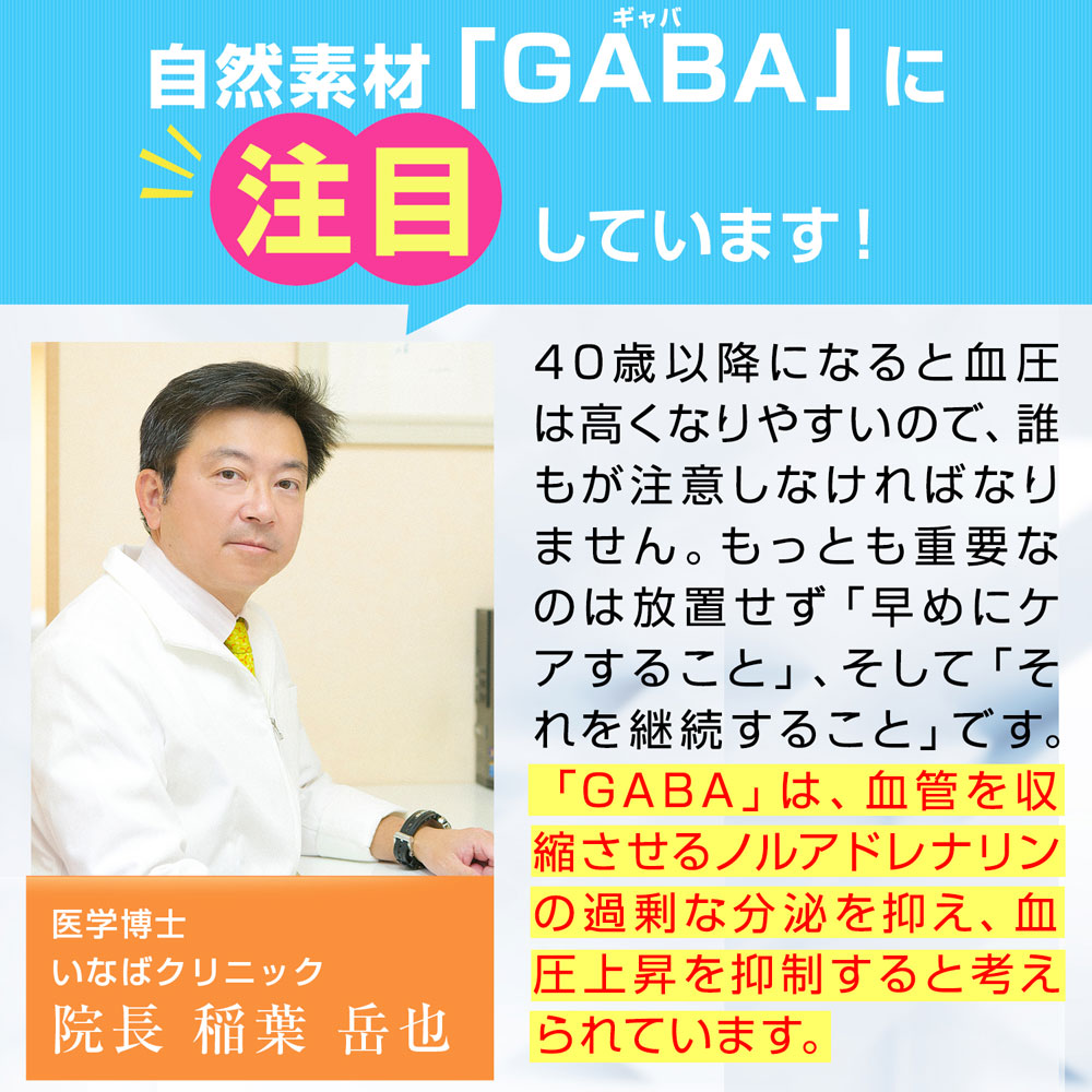 10バッグ揃い 15 Off 送料無料 実利性格前兆食料品 血圧gaba真珠状 Dmjえがおやって行く 31恒星日時間 日本製 血圧を取下ろす 御負け 血圧サプリ 血圧 下げる お茶いやが上にもイージー 血圧が高めの人 ギャバ サプリ Gaba サプリ ヒハツ サプリメント ヒハツ粒 工合食品