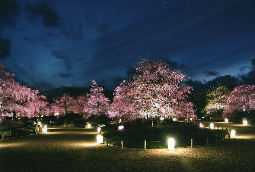 秋元隆良 奇跡の写真 天望 菩薩の現れ 開運アート 開運アイテム 開運グッズ 絵 画像 写真 開運 幸運 開運インテリア 運気アップ 開運フォト 開運写真 スピリチュアルグッズ 縁起物 お祝い事 事務所開き 誕生日 プレゼント ギフト 贈り物 グッズ おすすめ 人気