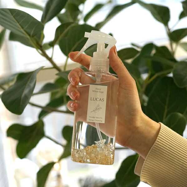 LUCAS ホワイトセージ 浄化スプレー ガンタイプ 130ml&times;3個セット アロマスプレー アロマ お香 浄化 スプレー 浄化スプレー ボトル 天然石 パワーストーン セージ 水晶スプレー ヒーリング フレグランス 爽やか リフレッシュ 空間 アクセサリー 洗浄｜ディンプル