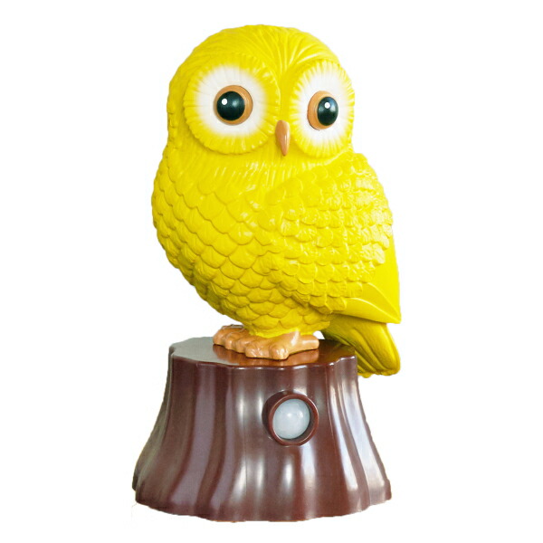 CCMM【リクエストふくろうさんセット】 楽天市場】我が家の福ちゃん ふくろう お喋りロボット 玄関 人感