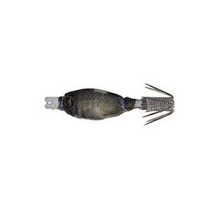 楽天市場】ヤマシタ(YAMASHITA) おっぱいスッテ GLOW 7-2 #F1 夜光/赤