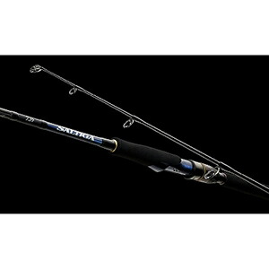 楽天市場】ダイワ(DAIWA) ソルティガ SJ AGS TG 55B-3 : dn e-shop