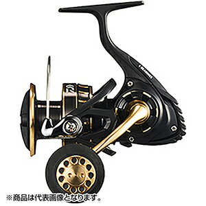 【当店限定P2倍確定】ダイワ(DAIWA) 23 BG SW 5000D-CXH