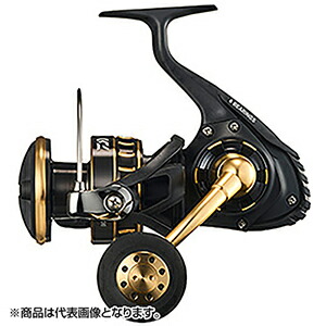 ダイワ(DAIWA) 23 BG SW 8000-H
