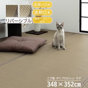 【メーカー直送】イケヒコ 洗える ラグ 日本製 除菌スプレー対応 水洗い 洗剤 丸洗い 丈夫 ござ風 ポリプロピレン ブラウン リバーシブル 両面使用可 江戸間8畳 約348&times;352cm｜1090740021302｜Wishop 店