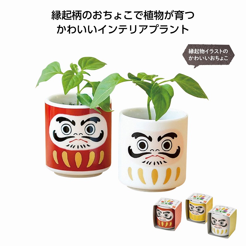 売れ筋ランキング お芽でたおちょこ 達磨 ギフト 景品 贈答 粗品 ノベルティ 販促品 プチギフト ロット割れ不可 144個単位でご注文願います  whitesforracialequity.org