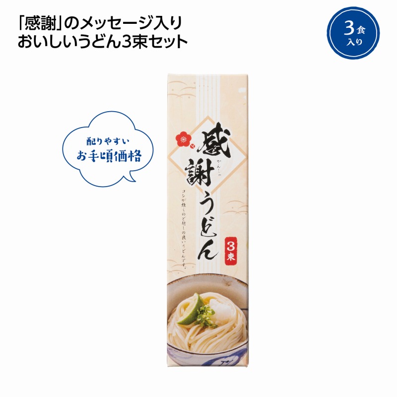 感謝うどん3束　100個セット　　法人向け 景品 粗品 販促品 ノベルティ プチギフト まとめ買い 来場 引っ越し 新生活 記念品 出産内祝い 結婚内祝い 出産祝い 結婚祝い 引き出物 お祝い お返し 香典返し 快気祝い プレゼント 退職｜ギフト・景品のディーネットモール