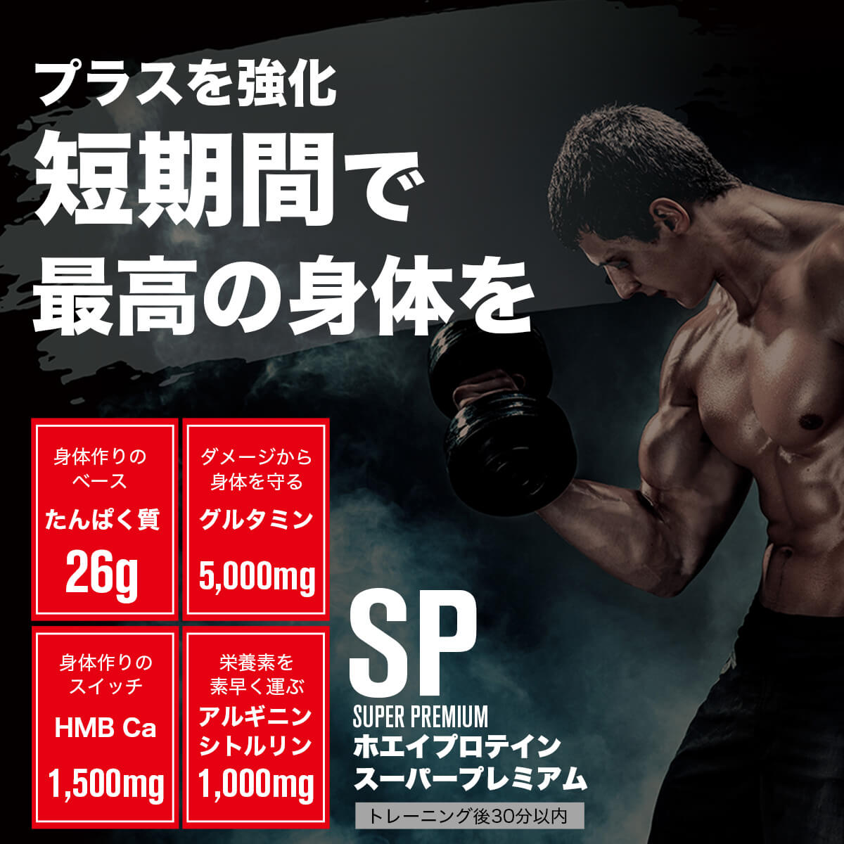 Dns ホエイプロテインsp プロテイン 1kg ホエイプロテイン 女性 ダイエット 1000g 2個セット トレーニング Hmb ホエイ 2つ