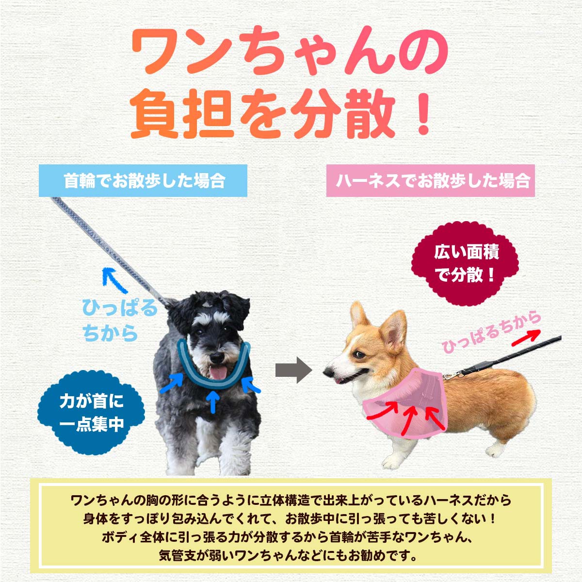 ハーネス 犬 小型犬 中型犬 大型犬 犬用 おしゃれ 可愛い リード 超