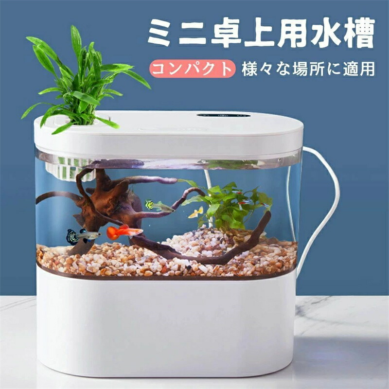 LEDライトフィルターポンプ付き水槽セットアクアリウム コードレス 水族館 オーナメント 自由研究 LED照明 水槽 セット卓上 玄関 リビング LEDランプ 水槽セット おしゃれ かわいい オブジェガラス 6,154円