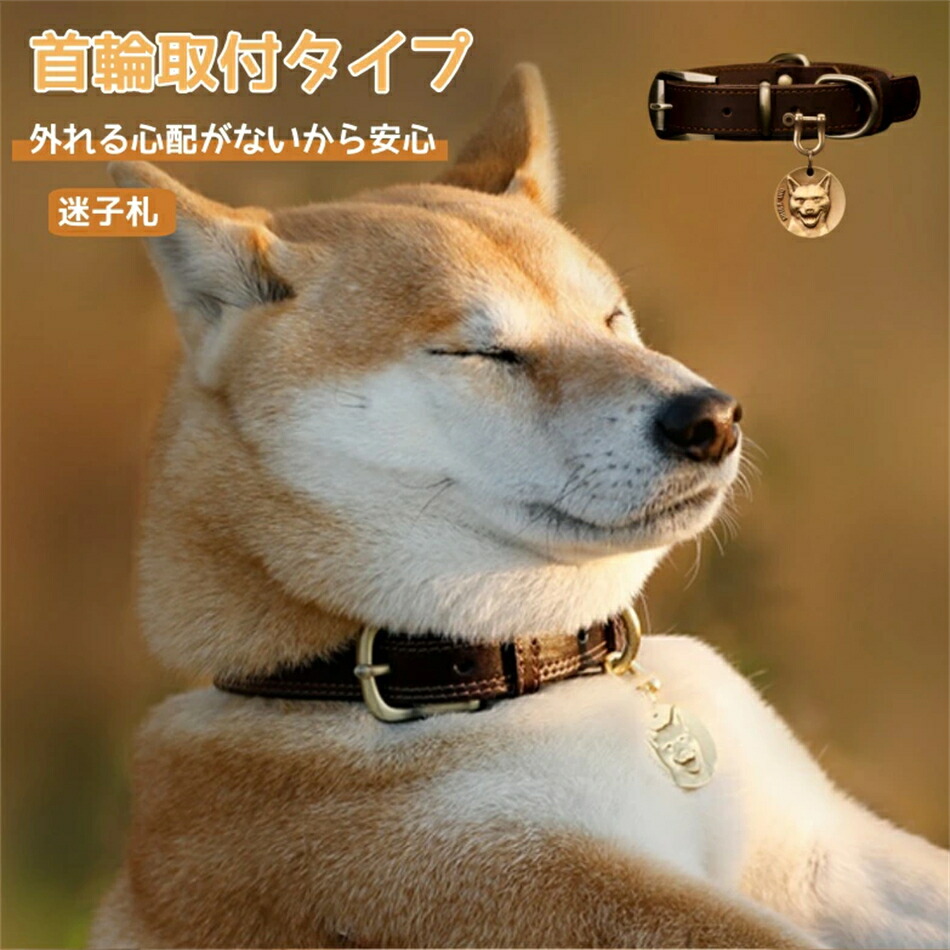 迷子札 犬 猫 ペット ステンレス 名入れ オーダー レーザー 直付け 軽い 軽量 極小 首輪 ハーネス 犬用 猫用 名前入 迷子札付き首輪 ぶらぶらしない ネームタグ ドッグタグ おしゃれ かわいい 絵文字