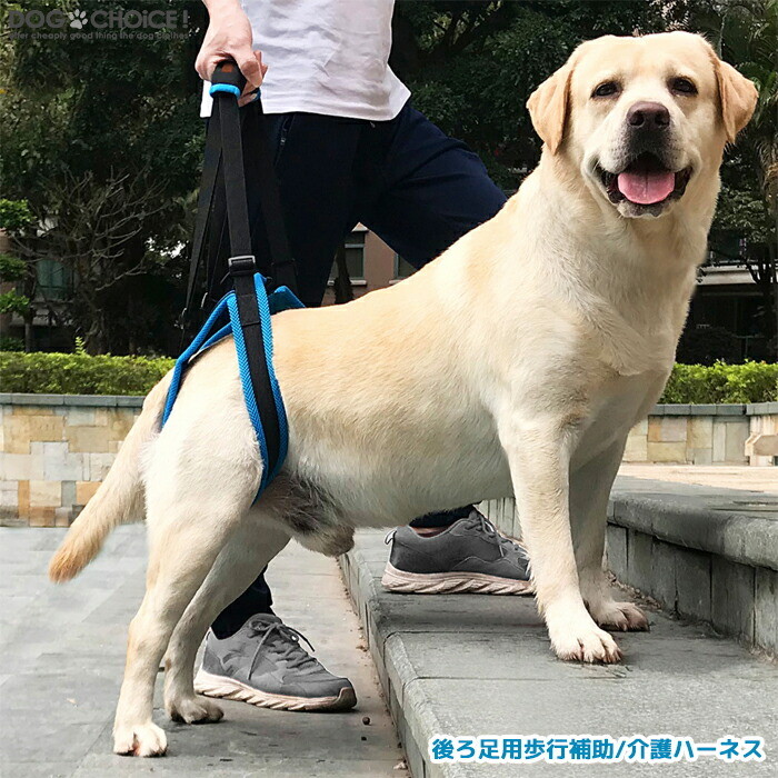 楽天市場 送料無料 後ろ足用介護 歩行補助ハーネス 犬用サポートハーネス ハーネス ソフトハーネス 介護用 歩行補助 サポートハーネス 歩行サポート 介助 シニア 老犬 ペット用 犬服のお店dogchoice