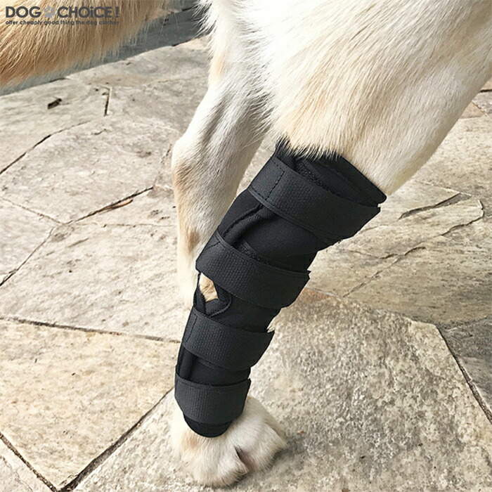 Sale 62 Off 送料無料関節プロテクター 犬用膝サポーター ペット用ケア用品 犬骨折治療 老犬介護 介護用品 シニア 肘当て 床ずれ 腕 肘 老犬 老齢犬 犬用介護用品 Www Tonna Com Sale 62 Off 送料無料関節プロテクター 犬用膝サポーター ペット用ケア用品 犬骨折治療 老犬介護 介護用品 シニア 肘当て 床ずれ 腕 肘 老犬 老齢犬 犬用介護用品 Www Tonna Com