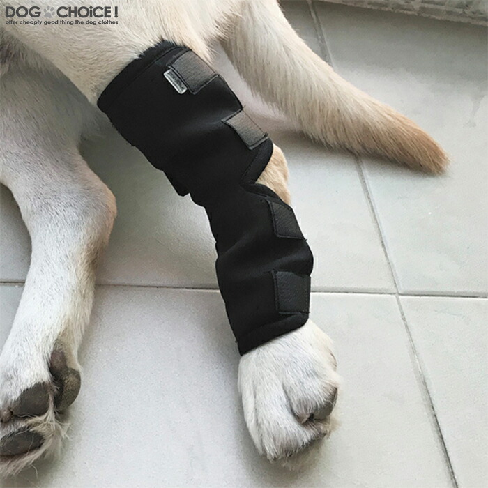 Sale 62 Off 送料無料関節プロテクター 犬用膝サポーター ペット用ケア用品 犬骨折治療 老犬介護 介護用品 シニア 肘当て 床ずれ 腕 肘 老犬 老齢犬 犬用介護用品 Www Tonna Com Sale 62 Off 送料無料関節プロテクター 犬用膝サポーター ペット用ケア用品 犬骨折治療 老犬介護 介護用品 シニア 肘当て 床ずれ 腕 肘 老犬 老齢犬 犬用介護用品 Www Tonna Com