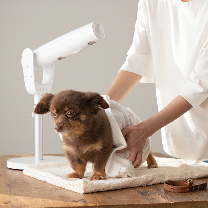 ペット用ドライヤー ペティオンスリム Petion Slim PSM-1100【犬