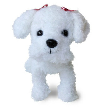 楽天市場】ぬいぐるみ マルチーズ 犬のぬいぐるみ リアル