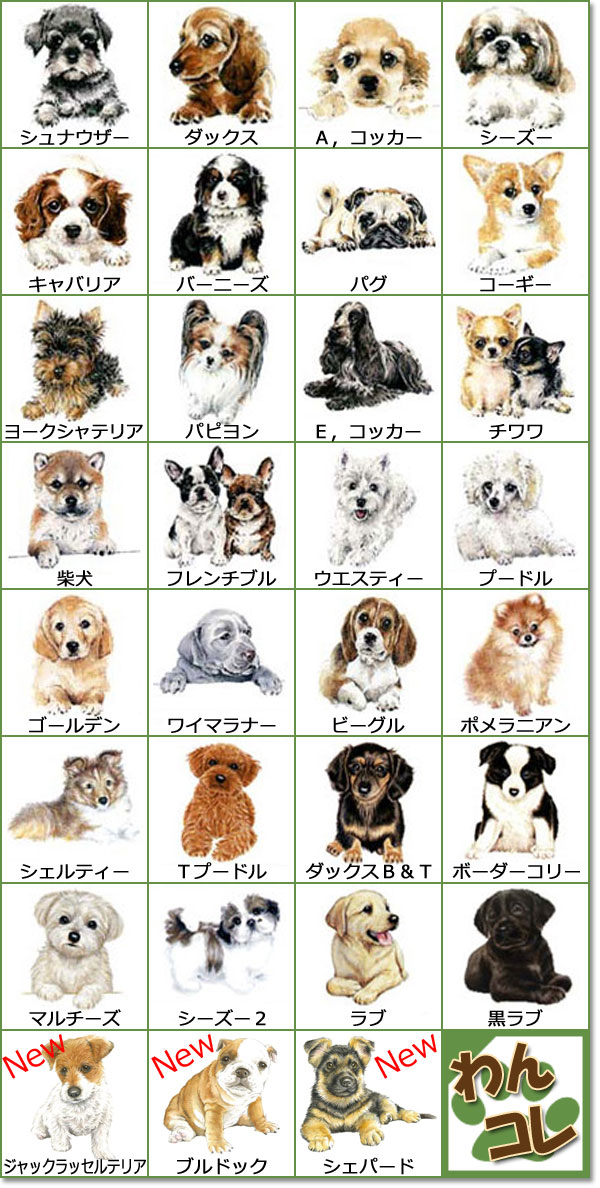 楽天市場 わんコレ ガラスタンブラー S24 ボーダーコリー 犬雑貨 犬グッズ 楽ギフ 包装選択 犬雑貨専門店 銀屋