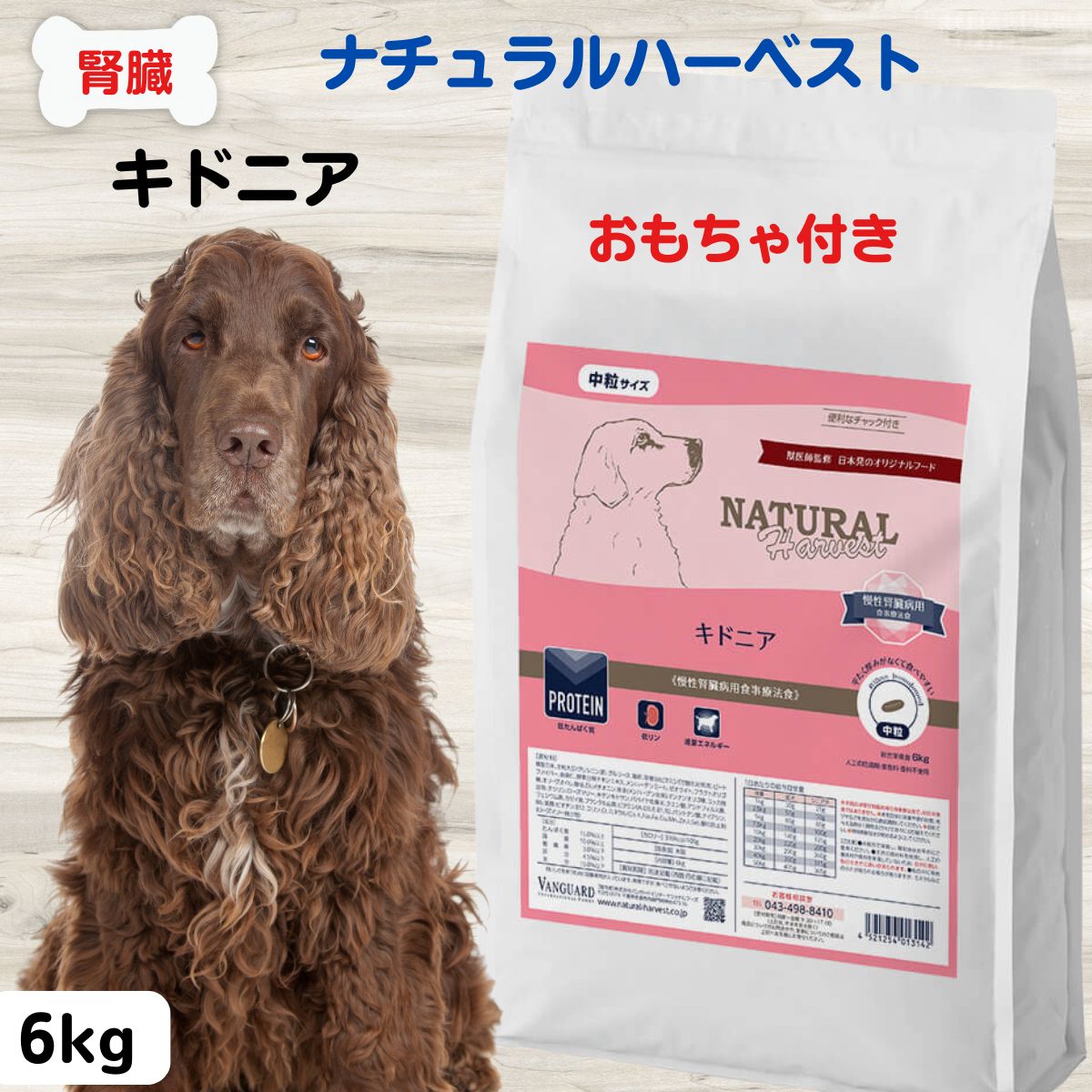 最大限度15％OFFクーポンナチュラルハーベスト 犬 腎の臓受け支える 犬 腎の臓病 治療薬食 犬 ボンネット 低リン 犬 食餌治療薬食 腎の臓  貨物輸送無料  キドニア 手あそび差し上げ物  セラピューティックフォーミュラ キドニア 腎の臓 治療薬食 6kg×1袋 低脂肪組織 低キロカロリー