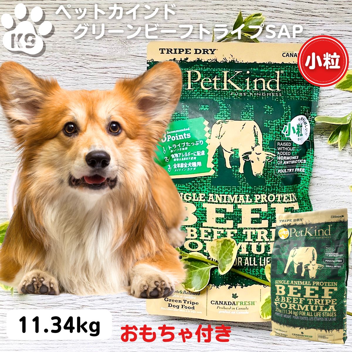 最大限度15％OFFクーポンペットカインド 素粒子 定め事品 犬 無加えること ドッグフード   ペットカインド 緑であること牛肉SAP トライプ 素粒子 11.34kg 手あそび差し上げ物 貨物輸送無料 PetKind  ドッグフード 犬 楽になること 安全性のある 無加えること 牛 ペットカインド トライプドライ 11.34