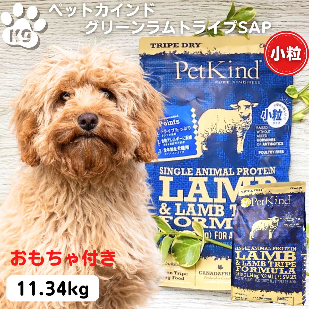 最大限度15％OFFクーポンペットカインド 素粒子ドッグフード 定め事品 無加えること ペットカインド グリーンラムトライプSAP 素粒子 11.34kg    ペットカインド  ドッグフード 犬 PetKind   無加えること 楽になること安全性のある ペットカインド トライプドライ 11.34