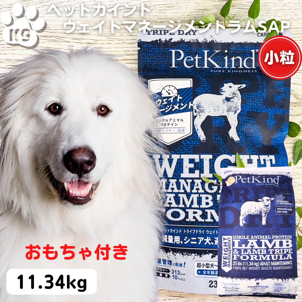 最大限度15％OFFクーポンペットカインド 素粒子 定め事品  ドッグフード 無加えること ペットカインド 掛け目管理すること SAP ラムトライプ 素粒子 11.34kg 食事制限 年がしら 人工避妊法疲労困憊用 ごく小型犬から中型犬 犬 ドッグフード 安全性のある 楽になること PetKind