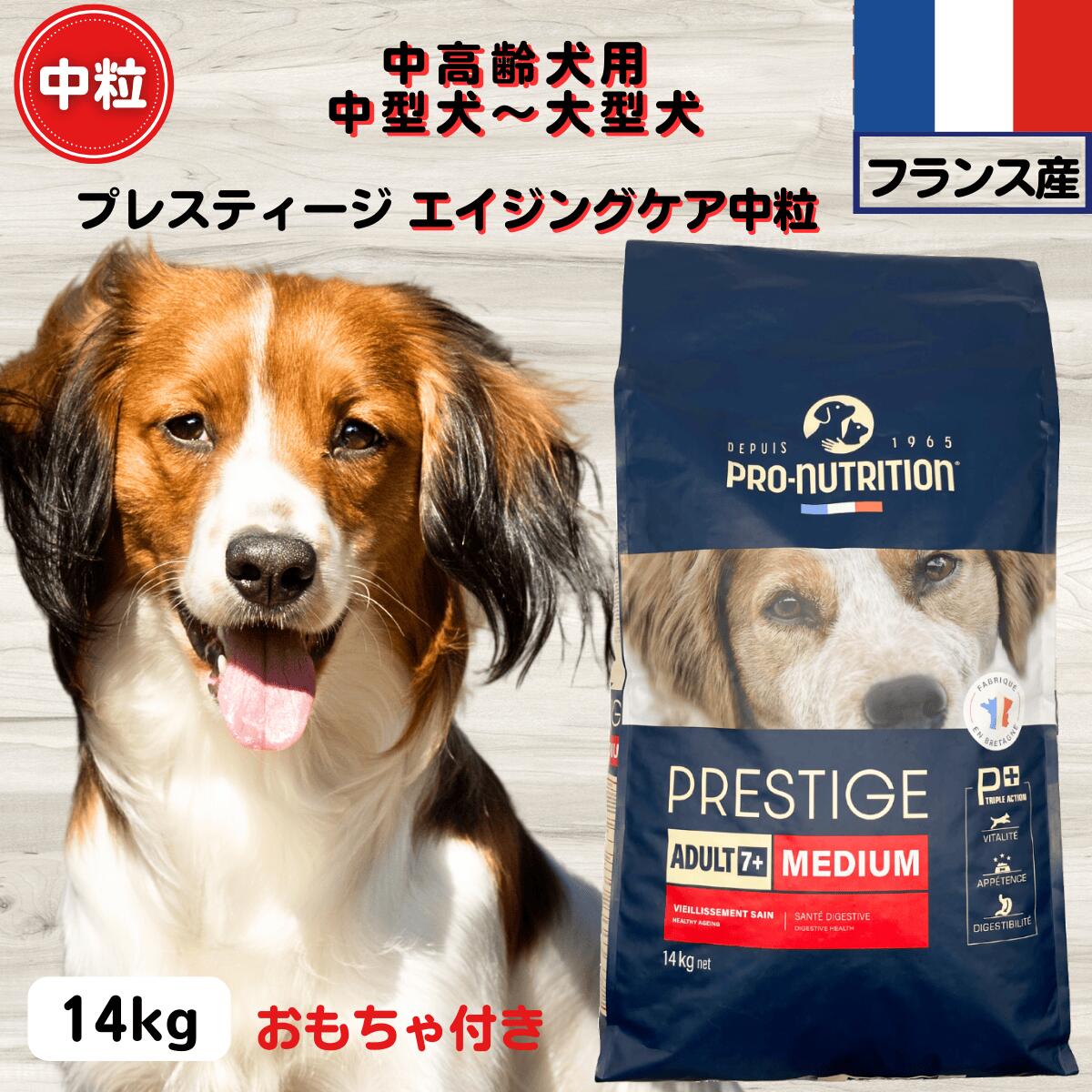 ドッグフード 無添加 プレスティージ 正規品 エイジングケア中高齢犬用中粒 14kg フランス産 中高齢犬用 中型犬～大型犬用ドッグフード 無添加 プレステージdog｜犬猫ナチュラル食 K9 ケイナイン