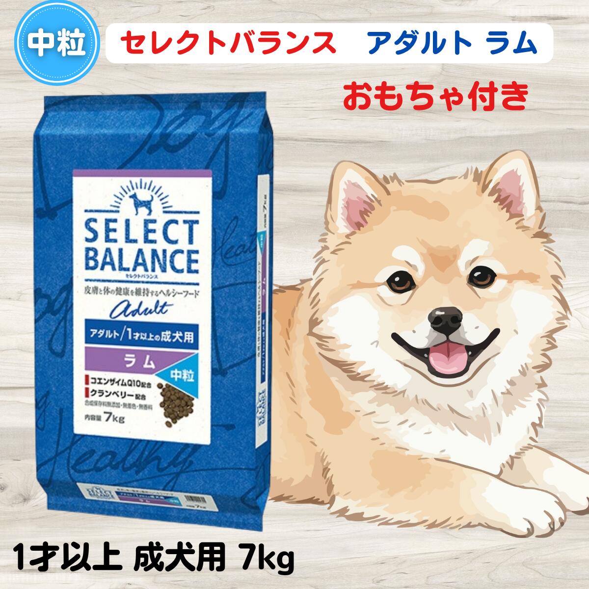 セレクトバランス アダルト ラム 中粒 7kg おもちゃプレゼント セレクトバランス アダルト ラム 中粒 1才以上 成犬用 無添加 犬 セレクトバランス ドッグフード