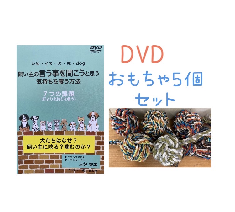 100 Honmono 犬 しつけ 甘噛み Dvd おもちゃ5個セット色はランダムです 飼い主の言う事を聞こうと気持ちを養う方法 ー７つの課題ー 犬たちはなぜ 飼い主に唸る 噛むのか 犬のしつけ ドッグトレーニング ドッグスクール 訓練 豪華ラッピング無料 Css Edu Om