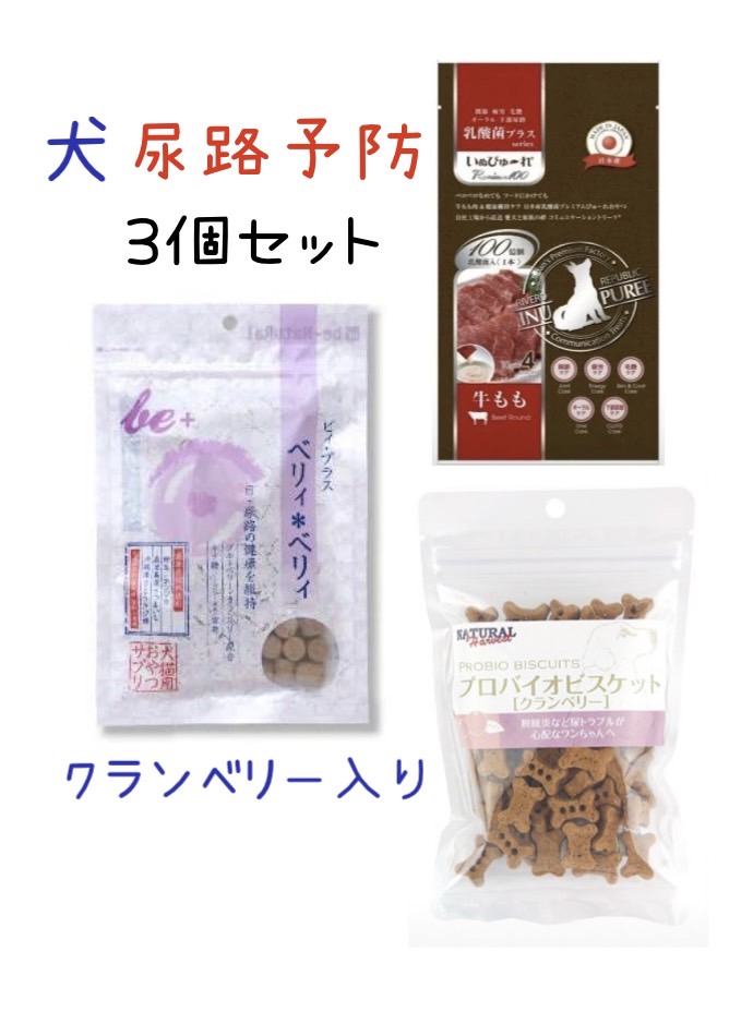 楽天市場 犬 尿 結石 おやつ ストルバイト おやつ 犬 無添加 泌尿器の健康維持 イミューン ナチュラル ヤミークッキー クランベリー 尿 結石 目 ドライアイ ポリフェノール アントシアニン 歯や歯茎の健康 ストルバイト 結石予防 ナチュラルフード ドッグハウスk9