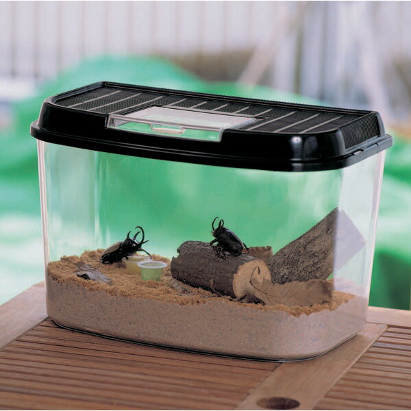 楽天市場 飼育ランド Cy M パールブルー ブラック 虫かご むしかご 虫籠 虫入れ カブトムシ クワガタ 昆虫採取 夏休み 自由研究 飼育観察 アイリスオーヤマ Pet館 ペット館 楽天 Pet館 ペット館