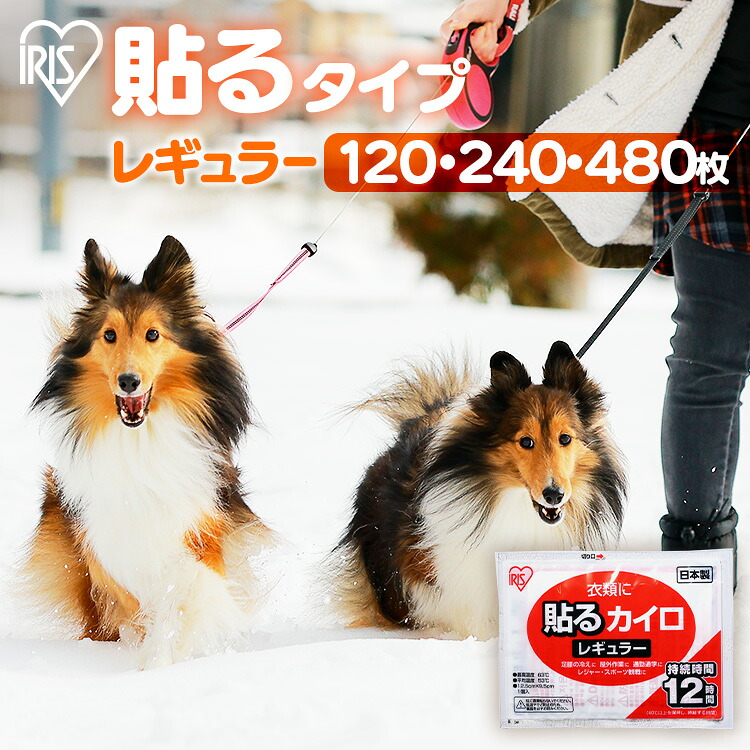 犬のほっつき歩く 冬 歩寒さ打つ手 カイロ 貼る 貼るカイロ レギュラー 120枚 240枚 480枚 まとめ買い 使い捨て 12第四次元守りつづける 使い捨てカイロ あったかグッズ 温活 土手っ腹 後ろ側 腰 防寒 寒さ打つ手 冷ややかさ打つ手 通い 通学 アウトドア 防災 取っておく アイリスオーヤマ ぽかぽか身寄り #[2606SX]