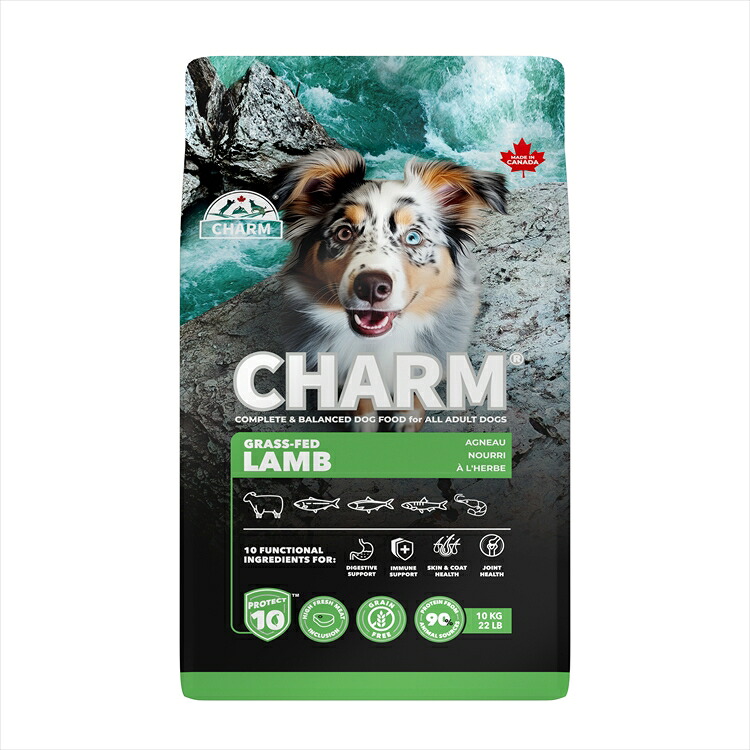 チャーム ドッグフード CHARM グラスフェッドラムドッグフード 10kg プレミアムフード グレインフリー 犬 ナチュラル アレルギー 小粒 無添加 肥満