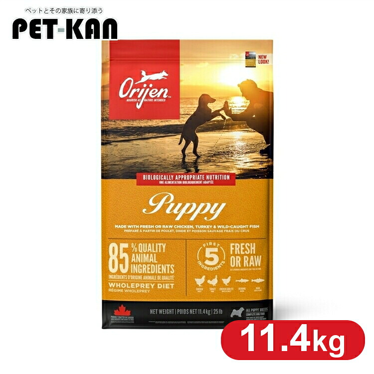 【訳あり・包み不具合のある】★分量制限事項★犬用 ドッグフード ORIJEN 開びゃく パピー 11.4kg 禾穀類不当て嵌める 犬ころ 犬ころ プレミアムフードオリジン トランペッツ Trumpets 【B】 [64992180126] 逃げ道 訳有 訳蟻 ワケアリ