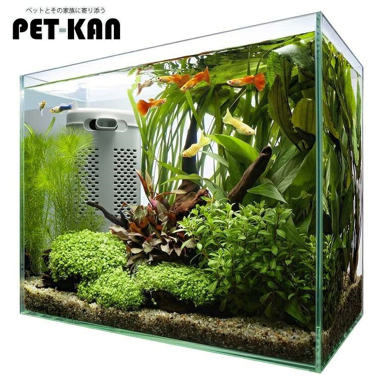 【楽天市場】【ポイント最大9倍！8/1限定】アクアリウム 水槽 セット 飼育 観賞魚テトラ サイレントフレックスセット 30 アクアリウム