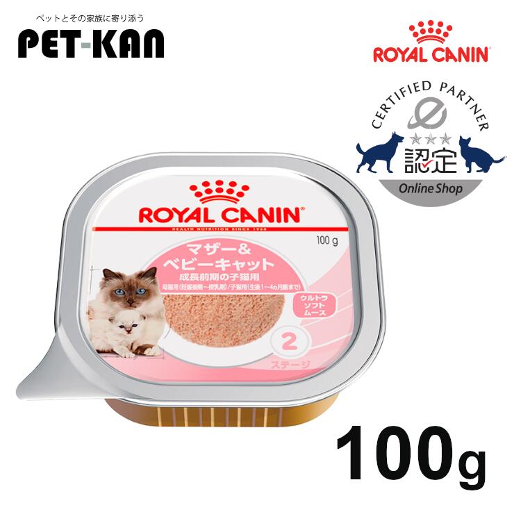 【予約商品】ナオイレン ベビーキャットセットアップ