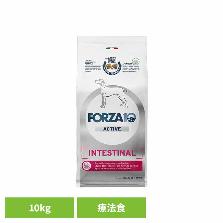 Forza10 インテスティナルアクティブ 並み並み 10kg  治療薬食 自然的 魚 アレルギー反応 土手っ腹 胃の腑 便 くだり腹 中粒 消化 犬 【B】