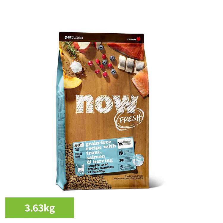 キャットフード 素っ気ない ナウ生新しい NOW FRESH 銀鱗 成年者 猫 3.63kg 成猫用 取り入れる栄養分食 食用粉無償性 グレインフリー グルテン無償性 人工保護すること料 芳ばしさ 染めつける料 不当て嵌める 猫 素っ気ないボンネット ペットキュリアン * キャットフード・サプリメント-猫用品