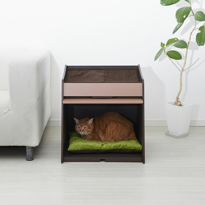 0円offクーポン対象 ネコレスト キャットフード キャットハウス 送料無料 ネコトイレ キャットハウス ペットベッド ペット 猫トイレ ねこ ネコ 猫 ペット おしゃれ 目隠し カバー ボンビアルコン ブラウン ナチュラル D Pet館 ペット館 ネコトイレ キャット 0円offクーポン対象 ネコレスト キャットフード キャットハウス 送料無料 ネコトイレ キャットハウス ペットベッド ペット 猫トイレ ねこ ネコ 猫 ペット おしゃれ 目隠し カバー ボンビアルコン ブラウン ナチュラル D Pet館 ペット館 ネコトイレ キャット
