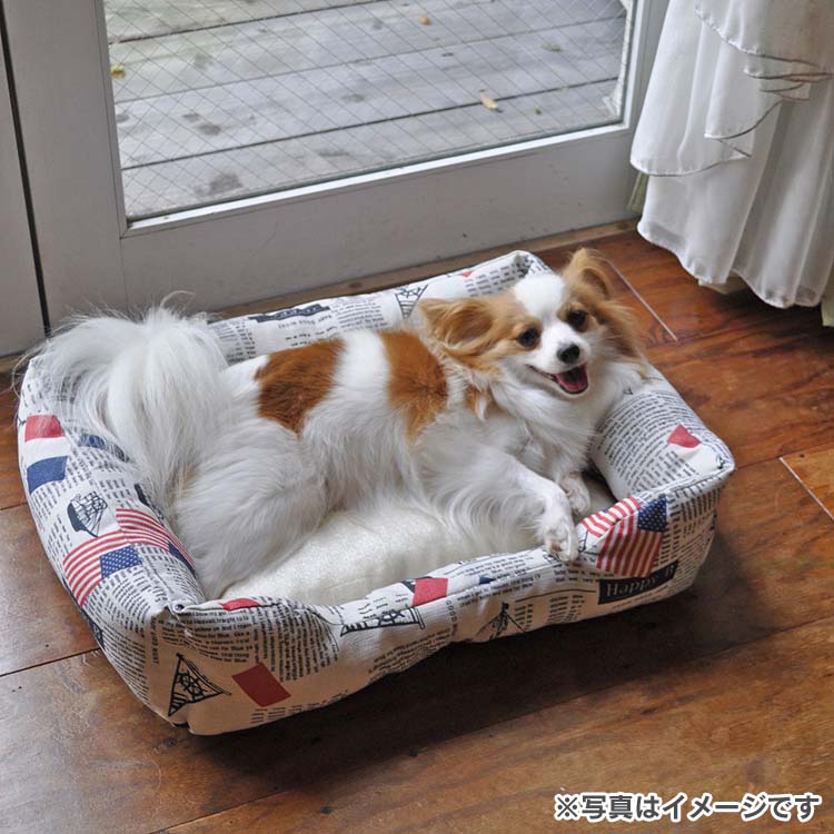 Cushion Sofa Pattern Relaxation Falcon Blue Yellow For The Doggy Dog Pet Bet Cc109 スクエアカドラーワールド M