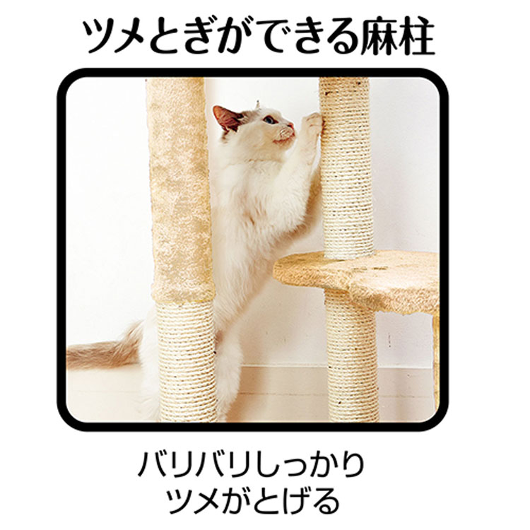 アドメイト 猫用おもちゃ ねこまど ネコ 送料無料 3段 ヴィラフォート