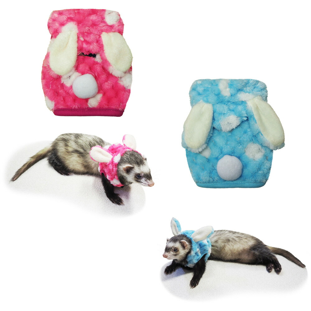 捧呈 登場 レインボー ferret ランランハーネスウェア 水玉うさぎ ピンク ブルー elma-ultrasonic.nl elma-ultrasonic.nl
