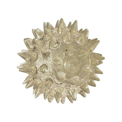 楽天市場 ウィルインターナショナル デンタルフラッシングボール クリア ドッグフード 犬用品の店ペネット