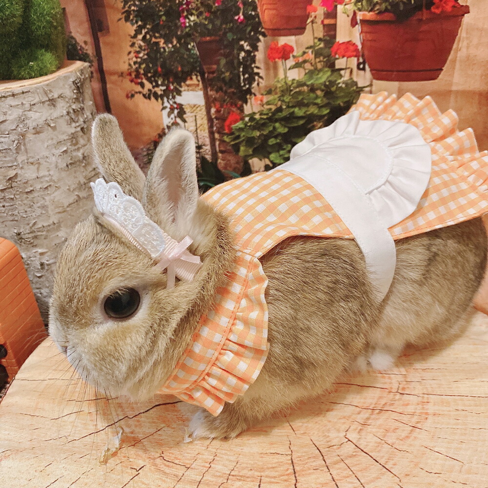 楽天市場 メーカー直送 送料無料 Gracelily フリルエプロン グレースリリー うさぎの服 うさぎ 服 ウサギ 兎 ドッグフード 犬用品の店ペネット 楽天市場 メーカー直送 送料無料 Gracelily フリルエプロン グレースリリー うさぎの服 うさぎ 服 ウサギ 兎 ドッグフード 犬用品の店ペネット