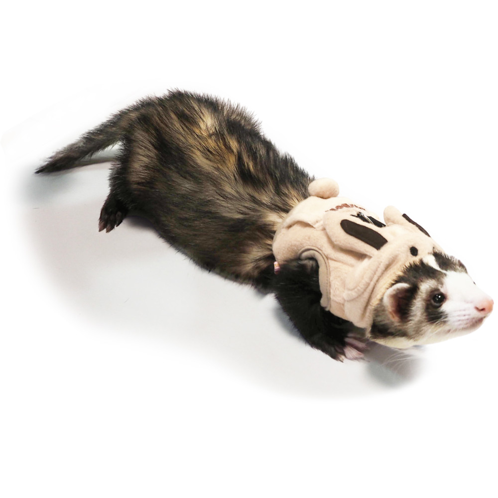 【楽天市場】[ 正規品 送料無料 ] レインボー ferret ランランハーネスウェア うさぎさん ( S M ) [ フェレット ハーネス 服 ベスト 胴輪 2022 2023 着ぐるみ