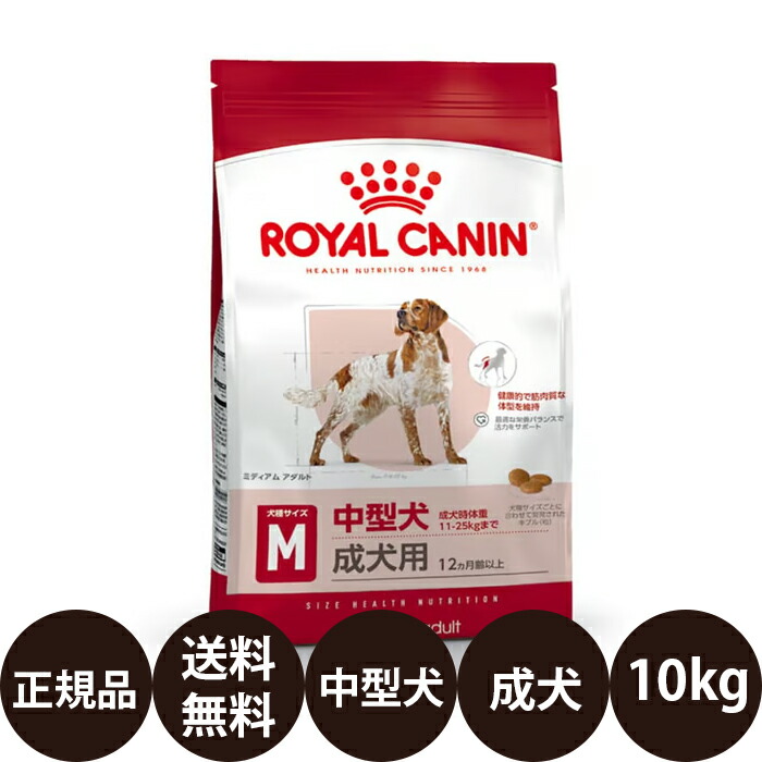 【面白がる締めきり日:2027/8/5】[ 定まり品 貨物輸送無料 ] ロイヤル聖地 ミディアムアダルト 10kg [ ROYAL CANIN ロイヤルかなん SHN 大いさ 健全さ ニュートリション 犬 犬用 成犬用 MEDIUM 素っ気ないボンネット 中型犬の成犬用 12ヵ月齢以上 ]