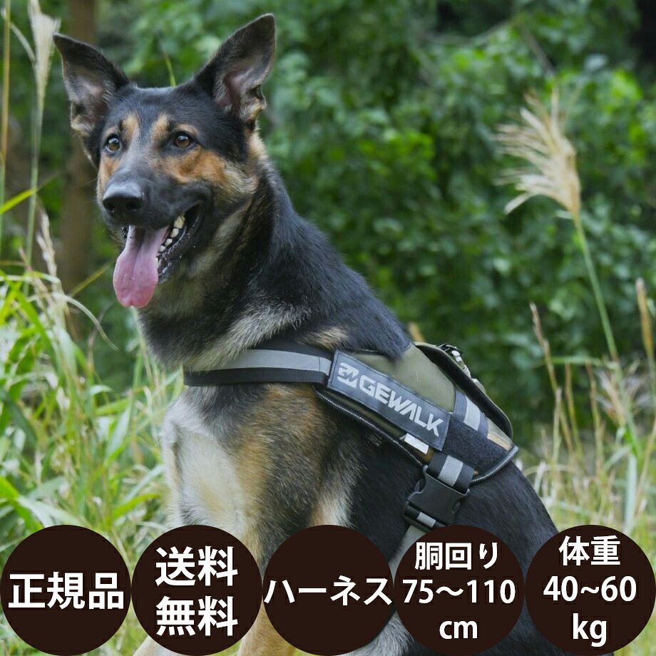GEWALK ワイルド エクスプローラー コーデュラ エコ LGE121 2XL オレンジ レッド カーキ ブラック [ ハヤブサ ジウォーク 犬 ハーネス 胴輪 丈夫 頑丈 反射素材 夜間 大型犬 超大型犬 ]