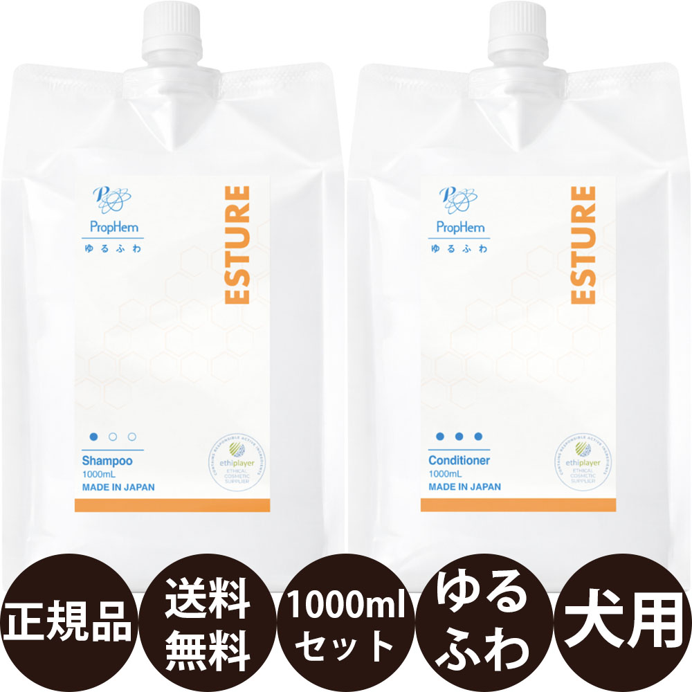 [ 定まり品 貨物輸送無料 ] プロフェム エスチュアシャンプー ＆ エスチュアコンディショナー 1000ml×2本書き割り
