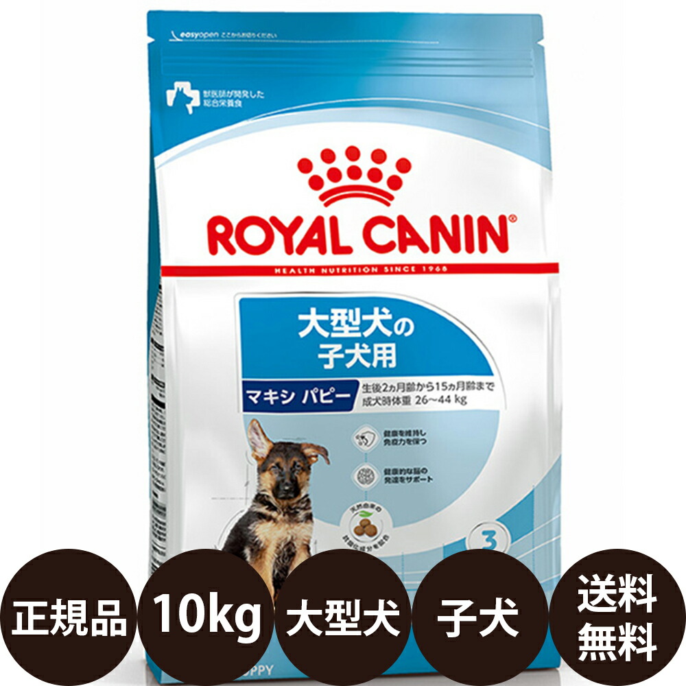 【面白がる締め切り日:2027/8/26】[ 定め事品 貨物輸送無料 ] ロイヤル聖地 マキシパピー 10kg [ ROYAL CANIN ロイヤルかなん SHN 大きさ 健全さ ニュートリション 犬 犬用 犬ころ用 MAXI 大型犬の犬ころ用 15ヵ月齢まで マキシお坊っちゃん ]