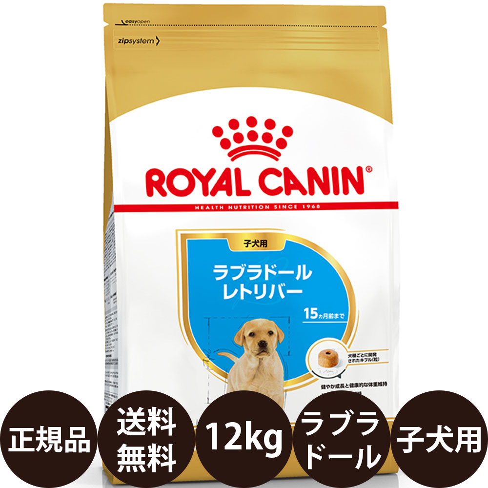 [ 定め事品 貨物輸送無料 ] ロイヤル聖地 ラブラドールレトリバー 犬ころ用 12kg [ ROYAL CANIN ロイヤルかなん BREED ブリード 健全さ ニュートリション 犬 犬用 犬ころ 素っ気ないボンネット 15ヵ月齢まで ]